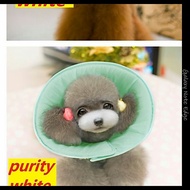 Pet cat Dog E-Collar Elizabethan collar/ wound healing/ e collar/ collar/ protection Extra Thick Pad