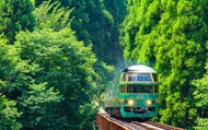 รถไฟ Yufuin no Mori แห่งคิวชู & บ่อน้ำพุร้อนทะเลเดือด & ศาลเจ้า Dazaifu Tenmangu & ทัวร์หนึ่งวัน Yuf