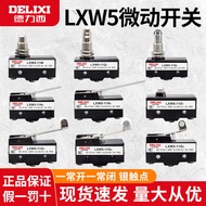 Delisi Stroke Micro-Power Limit Switch LXW5-11D1 11G1 11G2 11M 11N1 11Q1 11Q2
