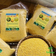 Shelled yellow sticky rice millet, millet for baby's weaning, yellow millet for cooking sticky rice,
