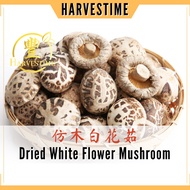 HARVESTIME Dried White Flower Mushroom 仿木白花菇 4 - 5cm [100g / 200g]