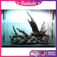 Driftwood (XL 43-70cm) Random Shape for Terrarium , Fish Tank Aquarium , Air Plant Landscaping Aquascape