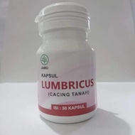 kapsul lumbricus rubellus ( cacing tanah )