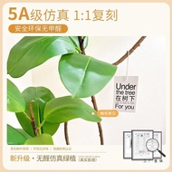 Rubber Tree Large Bionic Decoration Green Plant Ornaments Potted Plant Floor Indoor Black King Kong 