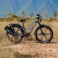 จักรยานไฟฟ้าเสือภูเขา FIIDO รุ่น Titan Robust Cargo ปี 2024 รุ่นใหม่ล่าสุด ระดับ A+++ เกรดส่งยุโรปและอเมริกา