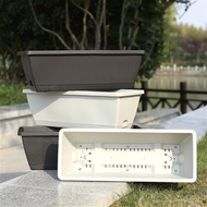 Yao Seedling Sprouter Nurseruy Pots Tray Soya Mung Balck Bean Wheatgrass