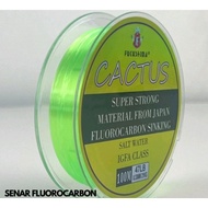 Fukushima cactus Fishing line 100m fluorocarbon salt water anti Curling singking line