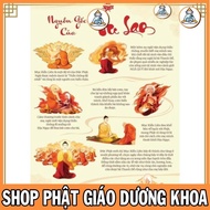 TO23 - MEANING OF VU LAN HARD SIZE a4 a3 laminated with protective Plastics