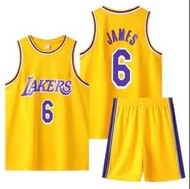 Lebron James Jersey And Shorts