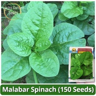Benih Malabar Spinach Seeds (150 Seed) Biji Benih Bayam Remayong High Yield Green Leaf Malabar Spina