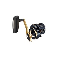 Daiwa 21 Saltiga IC 300H-SJ