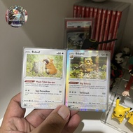 Bidoof Bibarel Evoline - TCG Pokemon Indonesia