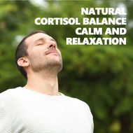 Cortisol Tea Triangle Bag Cortisol Tea Bag Making Tea 10.24