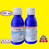 Insektosida  INCIPIO 200 SC .isi 100 ml. Produk Syngenta.