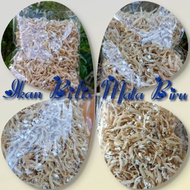 Ikan Bilis Mata Biru