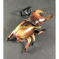 Crazy Toys Yujin Gashapon/Beetle God Japanese Beetle Weaving (Crawling Stag Beetle/Unicorn) Insect (