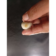 Jade stone from natural meeting collection of Sultan stone 28