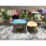 Gelas Mug Gagang Keramik Model Kelapa ASLI Gelas Kopi Unik Gelas Es Kopyor