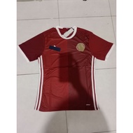 Denmark jersey