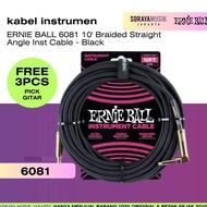 Ernie Ball 6081 10' Braided Straight Angle Instrument Cable - Black
