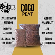 Coco peat for Tarantulas (70 grams and 200 grams) BWS petshop