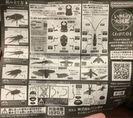 ［全新］ 甲蟲 扭蛋