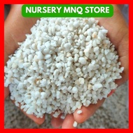 PERLITE | FOR CACTUS & SUCCULENTS SOIL VOLCANIC | PLANTING MEDIA GRANULAR SOIL