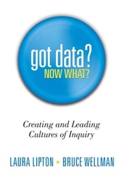 Got Data? Now What? Laura Lipton
