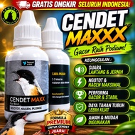 Vitamin Burung Cendet Max Obat Penggacor Vitamin Burung Kicau Meningkatkan Stamina Merangsang Bunyi