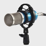 Microphone Stand Universal Professional Condenser Mic Shock Mount Holder Studio Recording Bracket For Large Diaphram Mic Clip