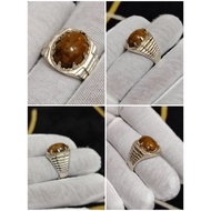 fossil nibong gred A asli alami  ikatan alpaka.PEMBISA TERBAIK