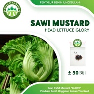 50 Benih Sawi Mustard Head Lettuce Glory Sayuran Pahit Known You Seed