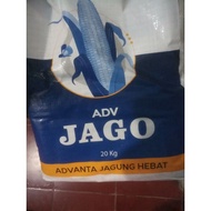 ADV JAGO BENIH JAGUNG HIBRIDA UNGGUL asli ori