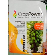 Benih Betik - Papaya Seeds Big Hong Kong PY1 (BETIK SEKAKI) CROP POWER (10gm)