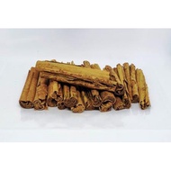 PEMBEKAL KULIT KAYU MANIS CEYLON CINNAMON DARI SRI LANKA SUPPLIER