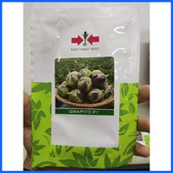 ☂ ∈ ❖ EGGPLANT SEEDS BY EAST-WEST SEEDS GARDEN PACK