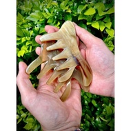Multi-purpose horn comb, buffalo horn comb massages fingers, face, head, acupressure - real buffalo 