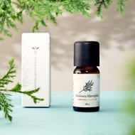 澳洲茶樹 單方精油