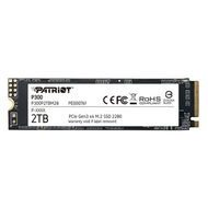 PATRiOT 博帝 固態硬碟  P300 M.2 2280 PCIe Gen3x4 (NVMe 1.3)  2TB