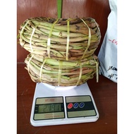 takway 1kg fresh from iloilo SELECT JNT COURIER