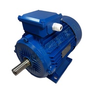 Bonzer Induction Motor (Induction Motor) 0.25Hp 1500Rpm 3 Phase 4 Pole