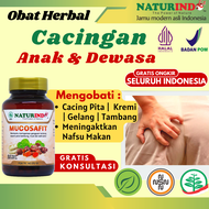 Obat Cacingan Anak Dan Dewasa Ampuh Cacing Kremi Pita Gelang Gatal Anus BPOM MUCOSAFIT