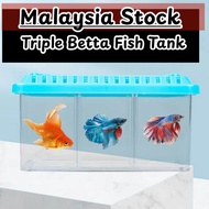 [MALAYSIA STOCK] Triple Betta Fish Tank Aquarium Betta Isolation Fish Tank Kotak Akuarium Ikan Betta