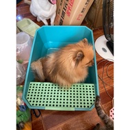 XL cat litter box open