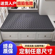 Tatami Mattress Coconut Palm Foldable Tatami Latex Tatami Mattress Pit Mat Size