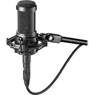 Audio-Technica AT2050 condenser microphone