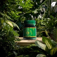 Shopkeeper Recommended 24 Hours Shipping Mint * Face * Cream VCG9