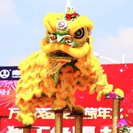Nanshi Double Products Full Set Whole Set Foshan Props Single Lion Dance Lion Dance Lion Dance Adult