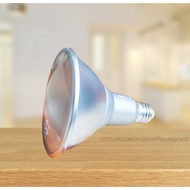 PAR LIGHT FSL LED P38 DIM 6500K 18W