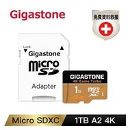 (聊聊享優惠) GIGASTONE MicroSDXC UHS-I U3 A2 4K 1TB記憶卡(五年資料救援) (台灣本島免運費)